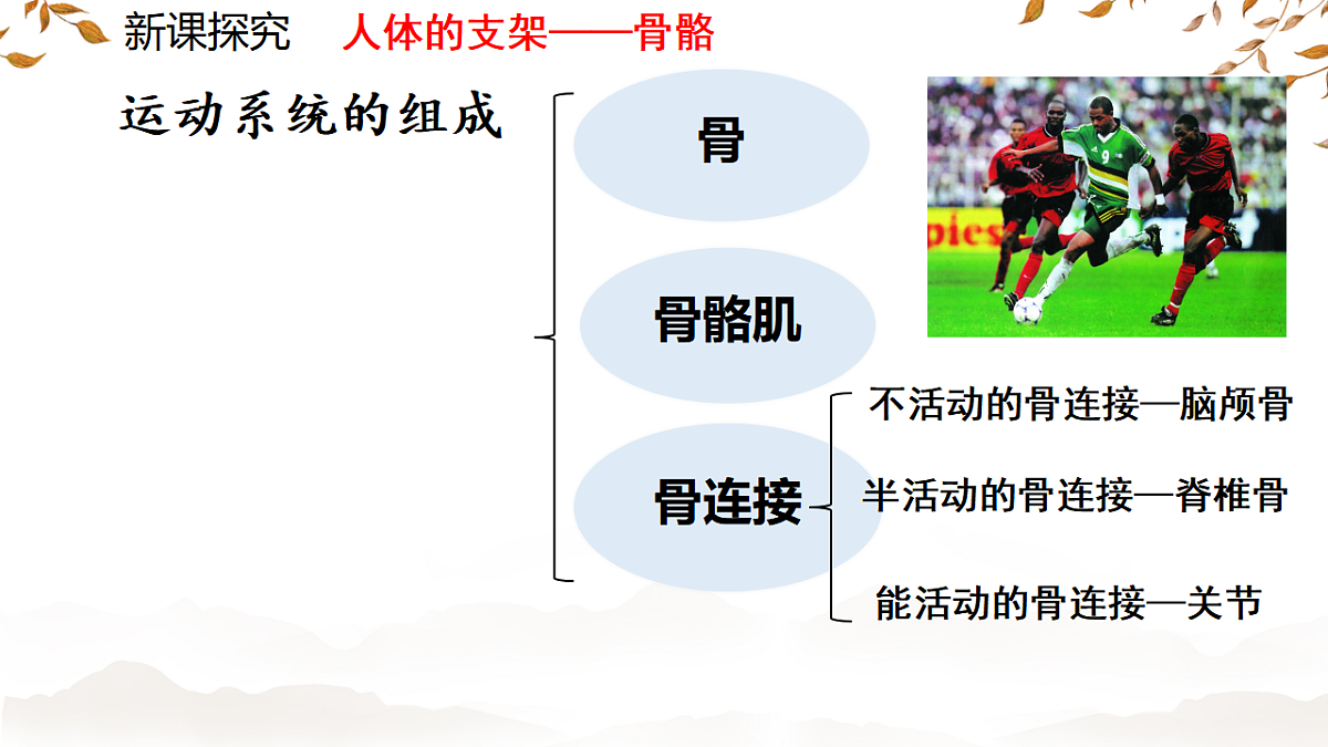 17674416第7页