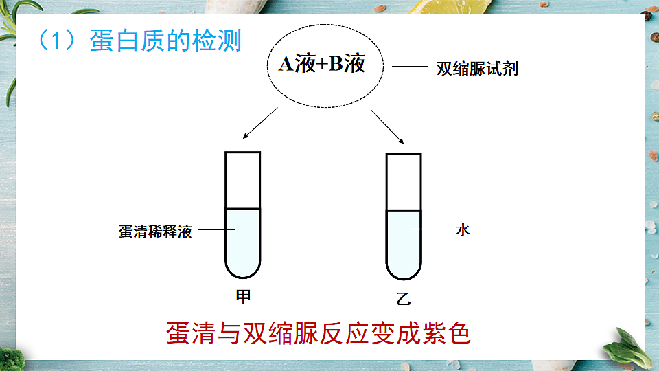 第1节 人类的食物 (课件)2024-2025学年北师大七年级生物下册第7页