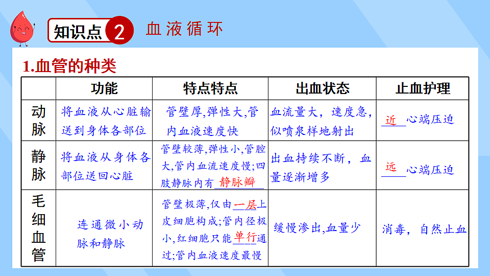 17675007第8页