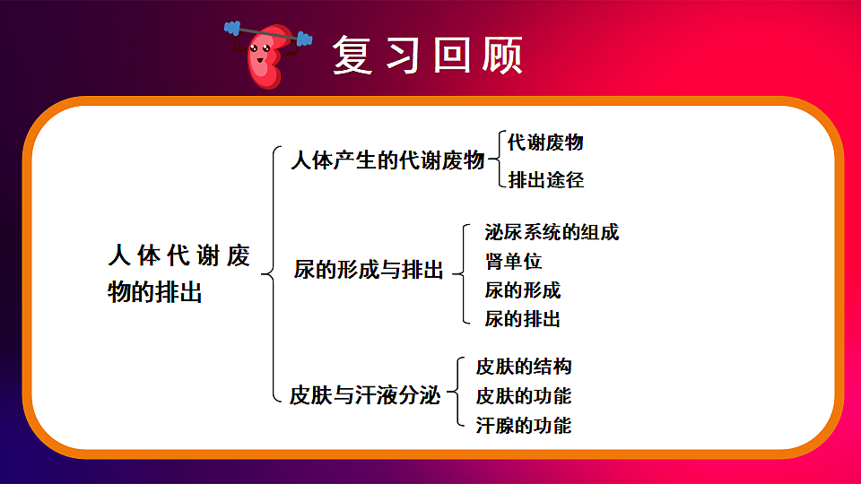 17675009第2页