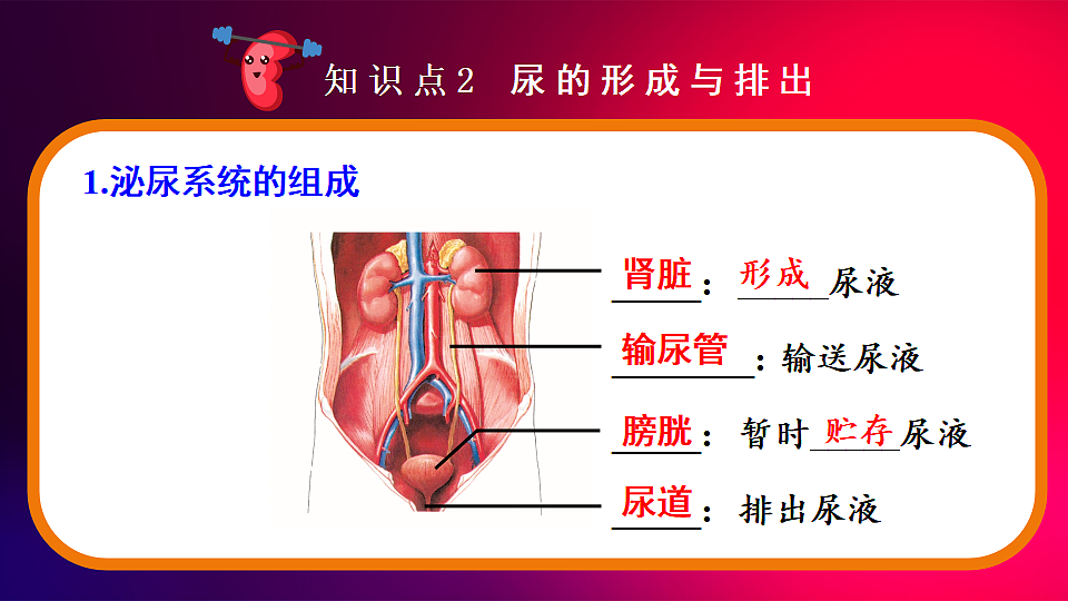 17675009第6页