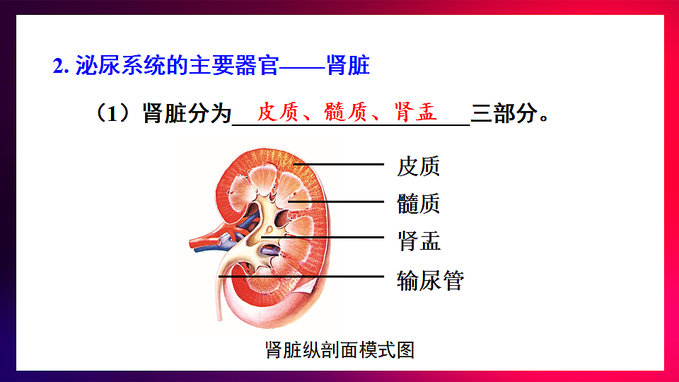 17675009第7页
