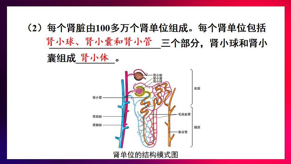 17675009第8页