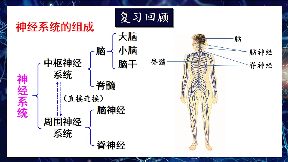 17675011第2页