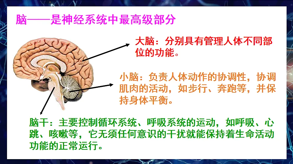 17675011第3页