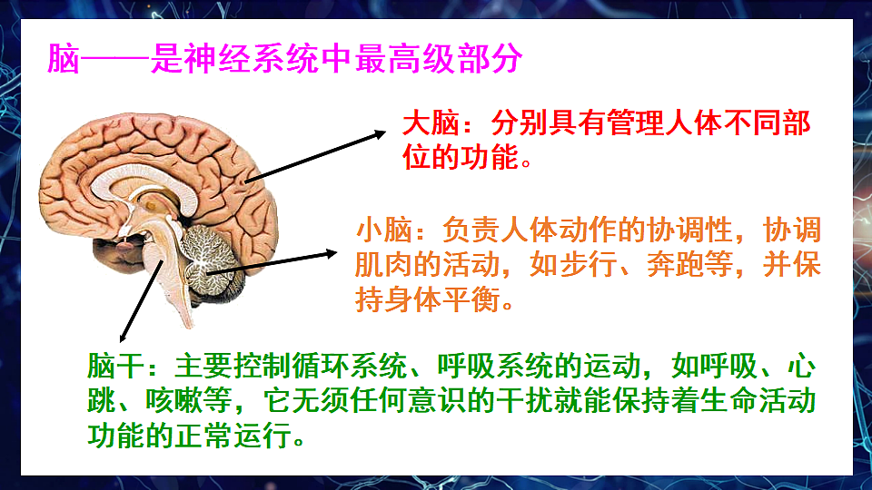 17675011第3页