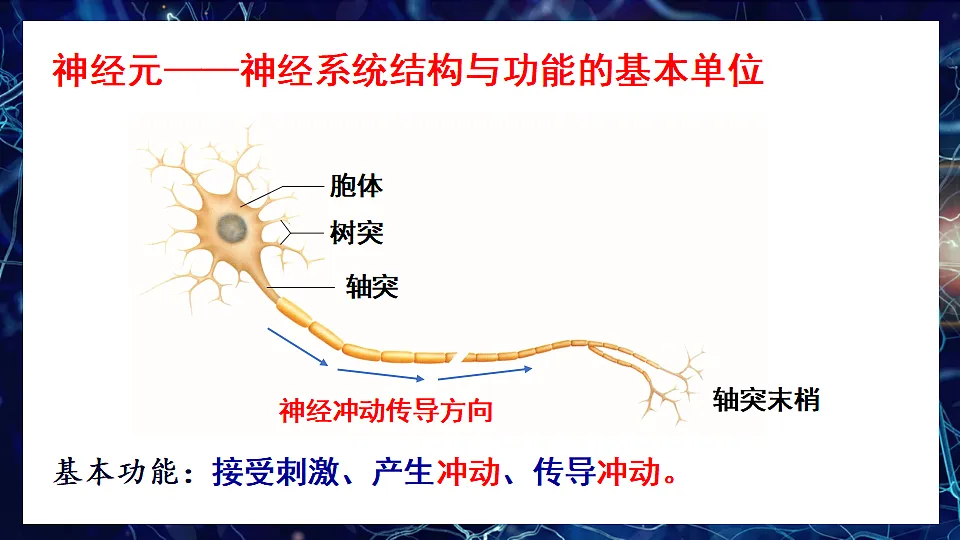17675011第5页