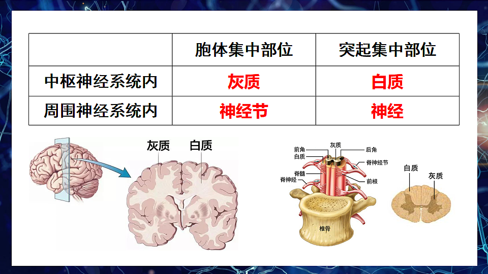 17675011第6页