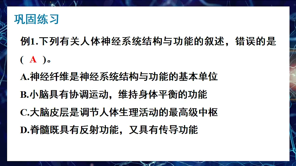 17675011第7页