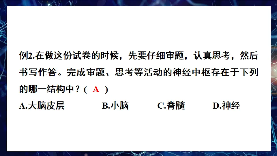 17675011第8页