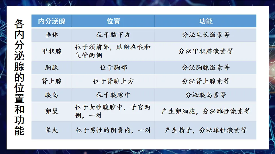 10.3 激素调节 (课件)2024-2025学年北师大七年级生物下册第6页