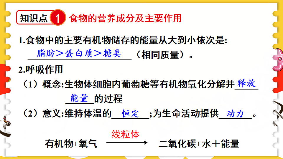 17675014第3页