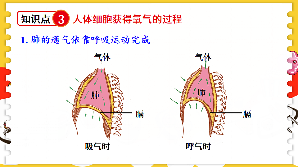 17675014第5页