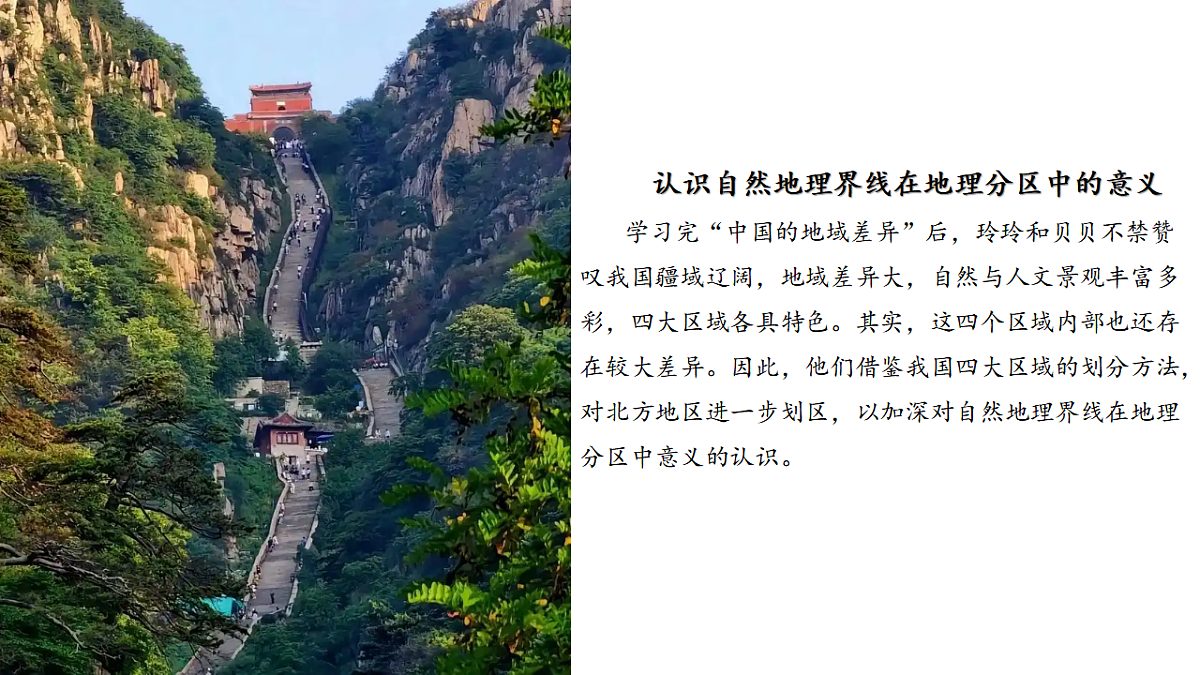 17675044第5页