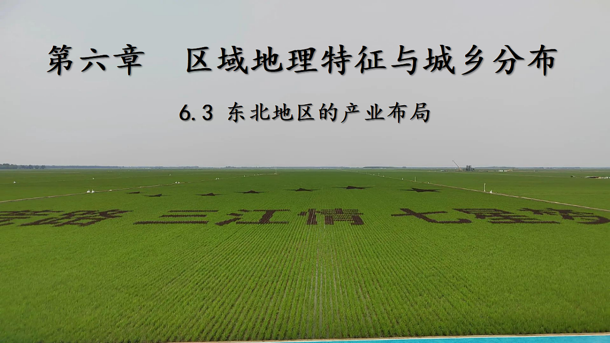 17675047第1页