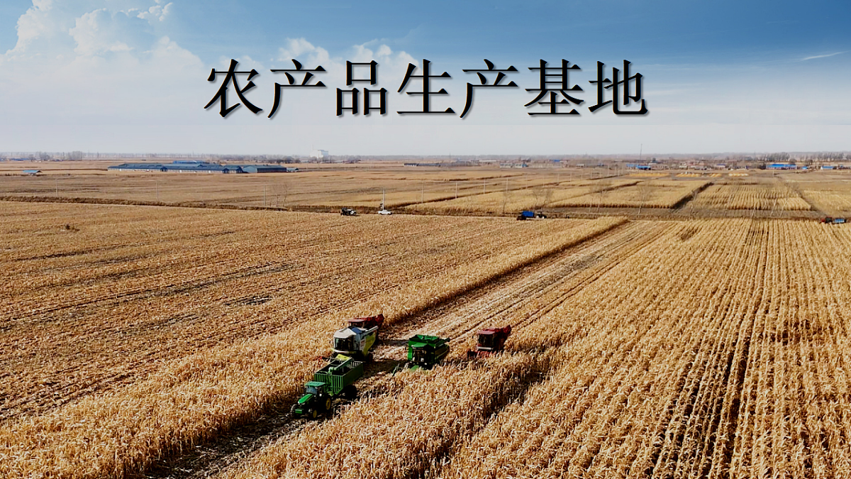 17675047第7页