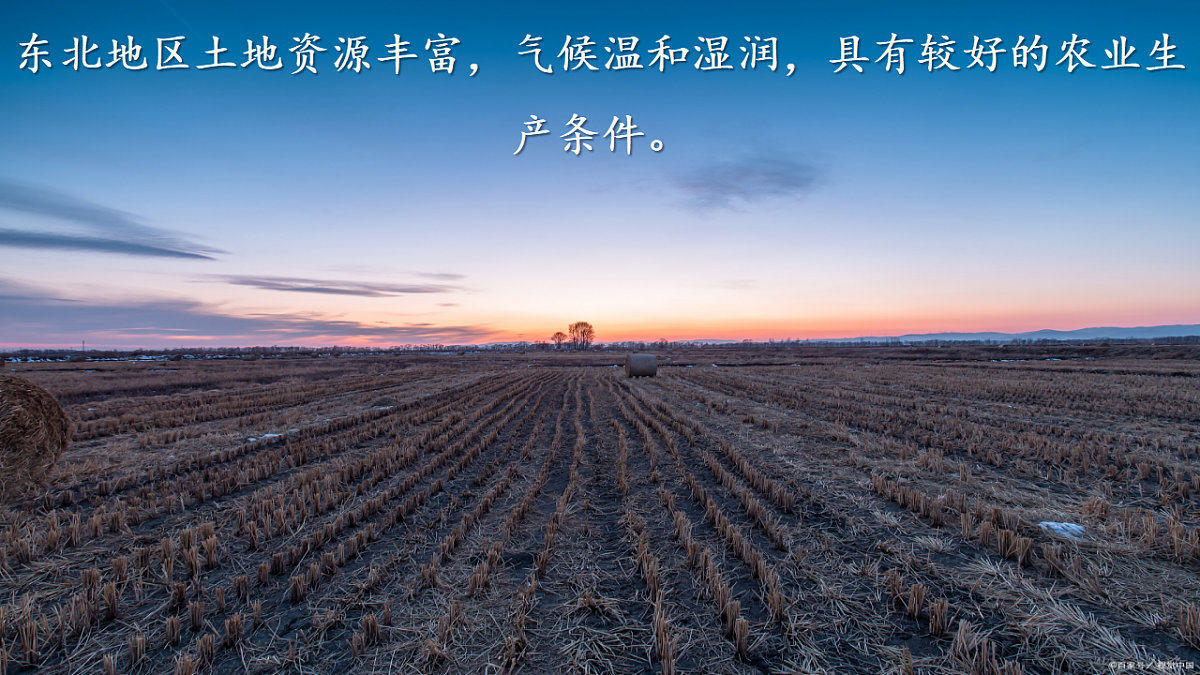 17675047第8页