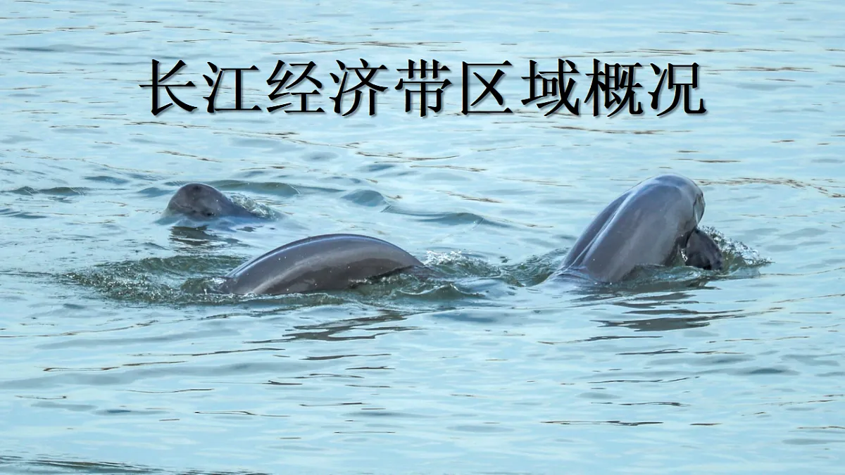 17675052第8页