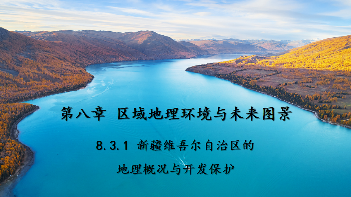 17675058第1页