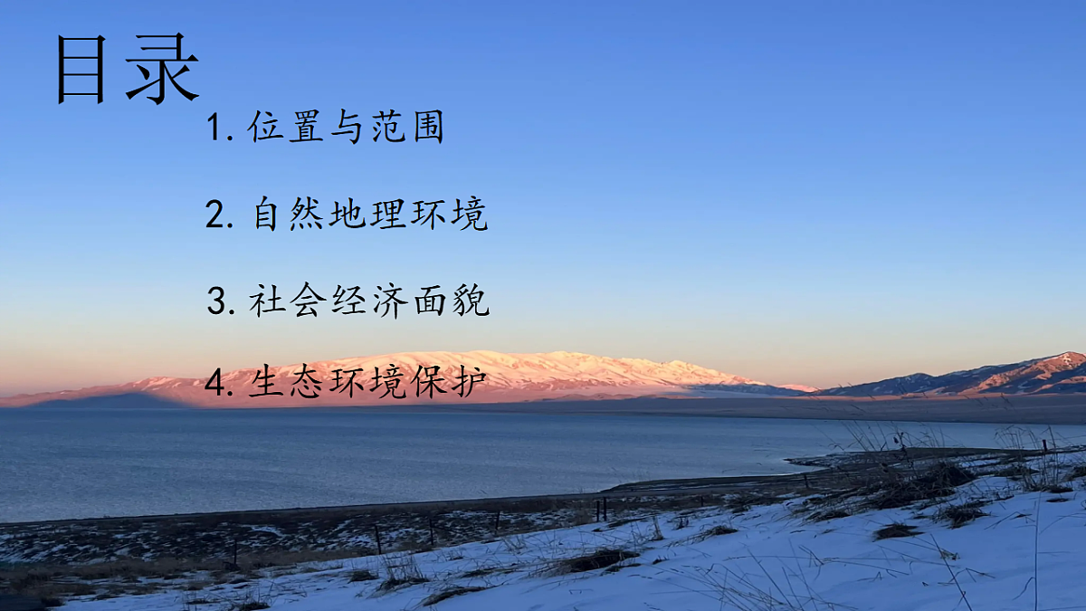 17675058第3页