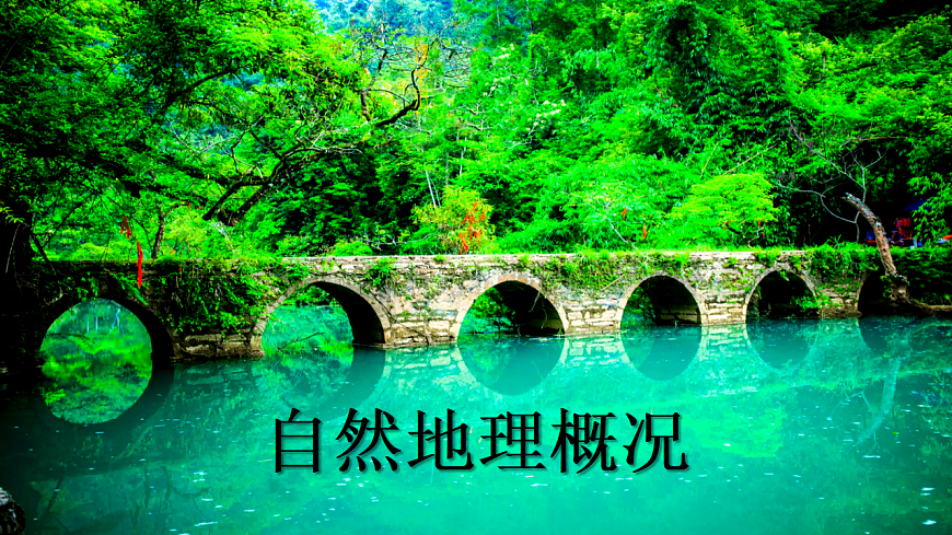 17675060第5页