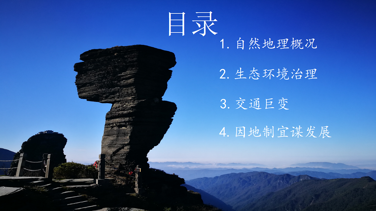 17675061第3页