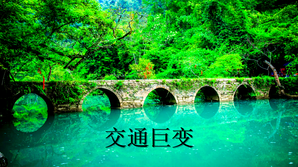 17675061第5页