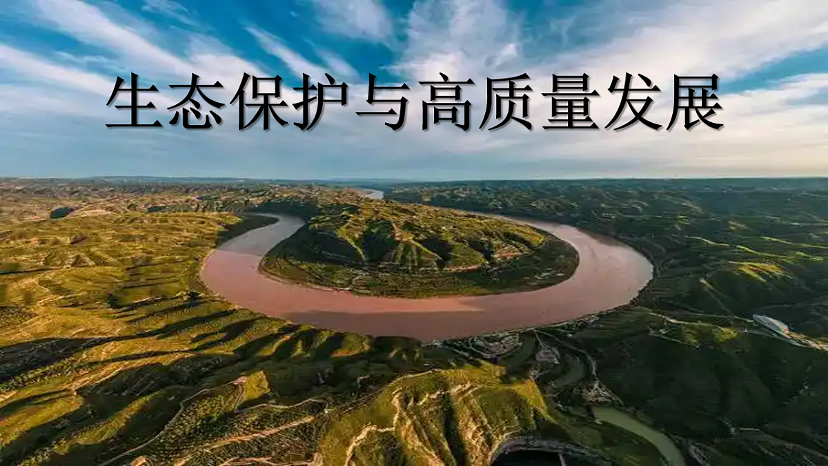 17675063第5页