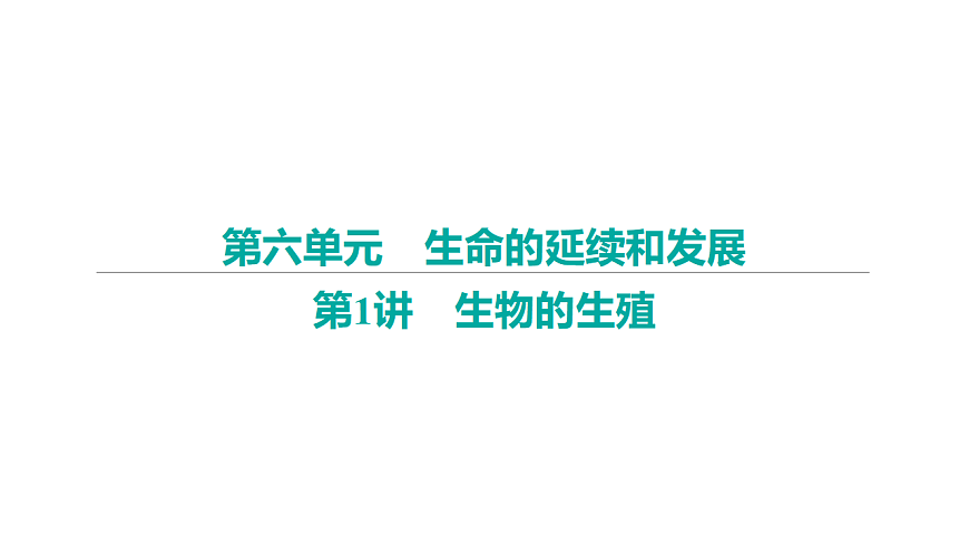 17675239第1页