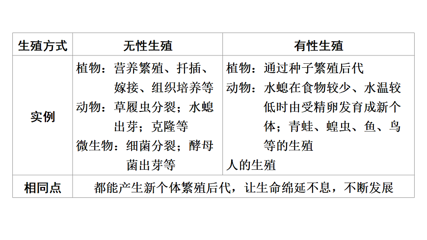 17675239第4页