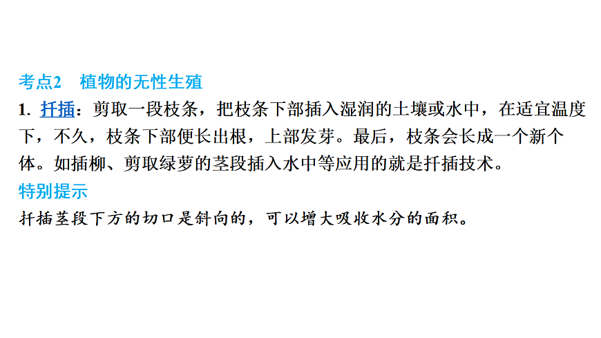 17675239第5页