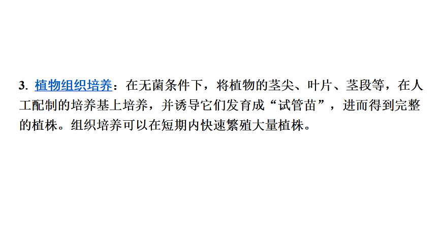 17675239第7页