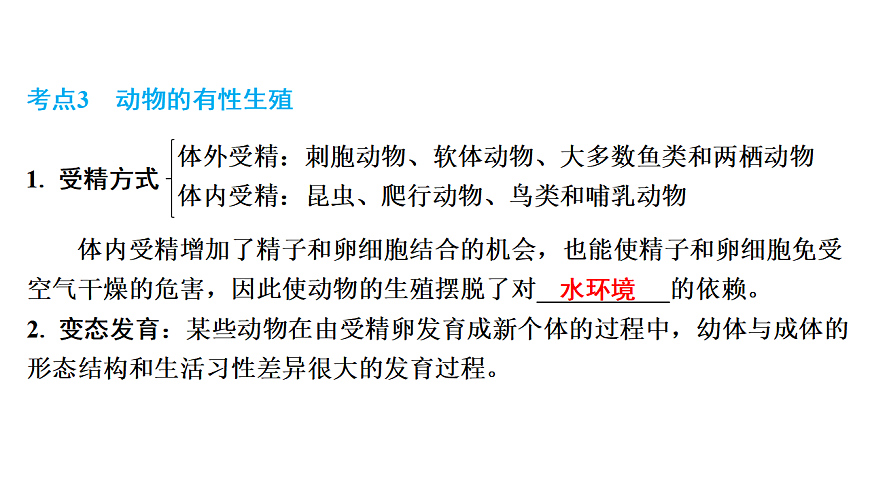 17675239第8页