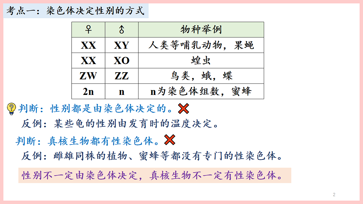 17675738第2页