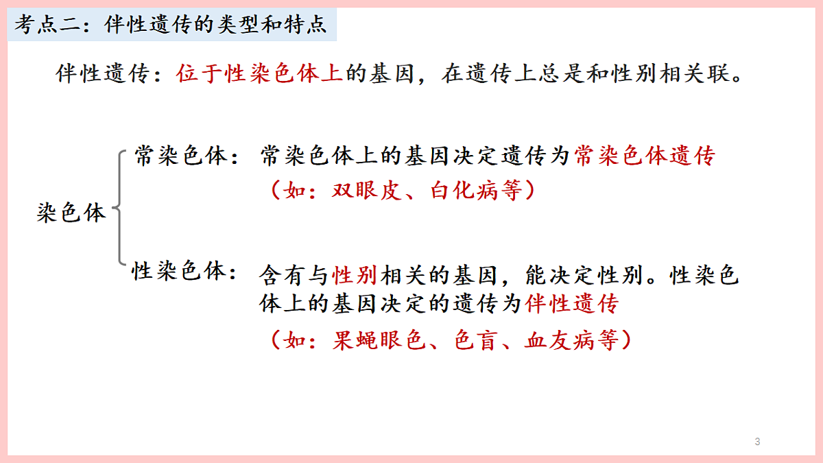 17675738第3页