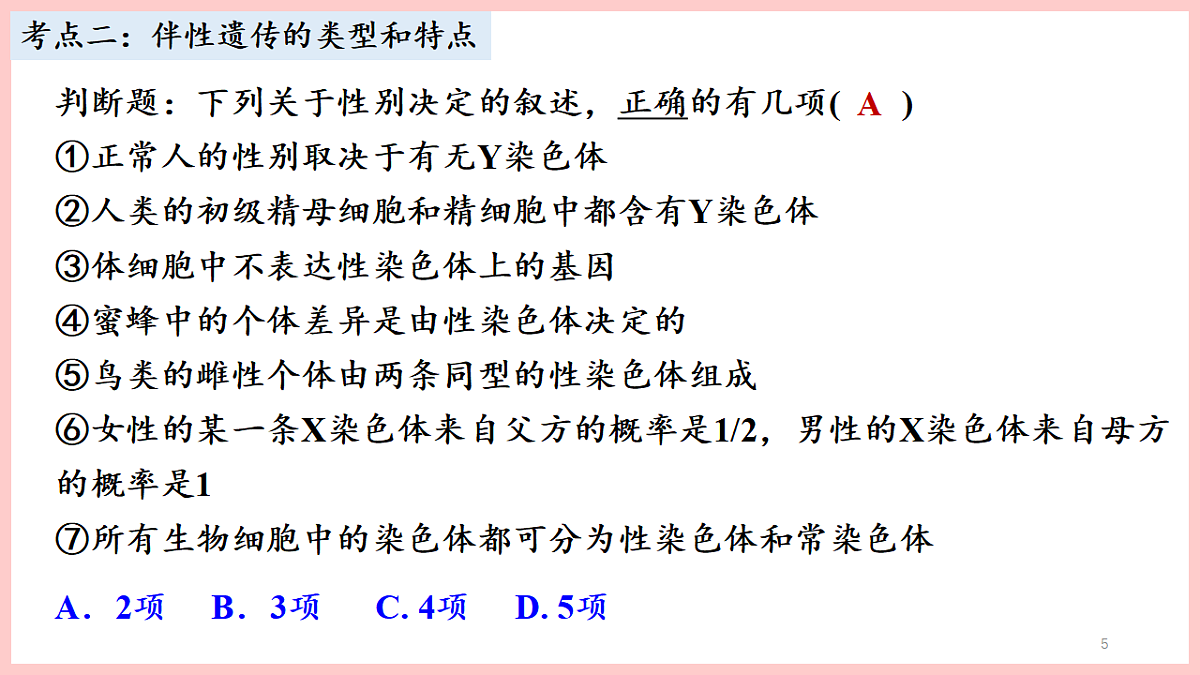 17675738第5页