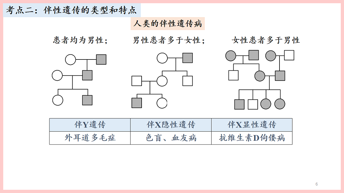 17675738第6页