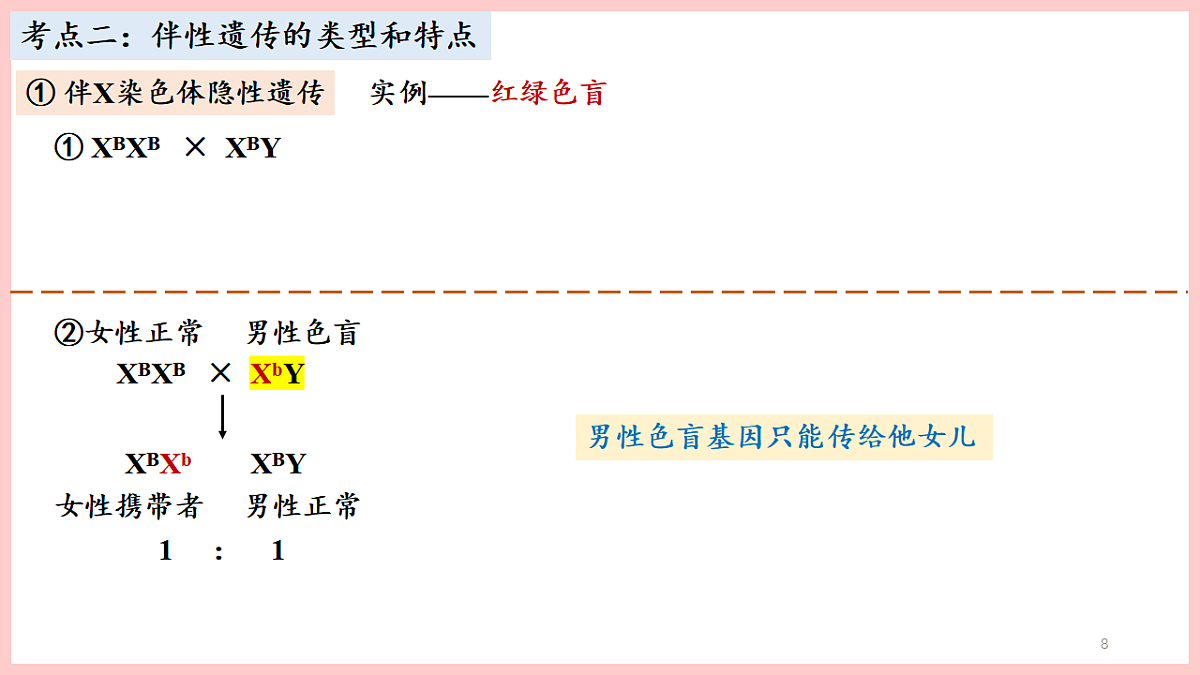 17675738第8页