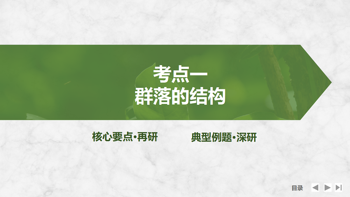 17675741第2页