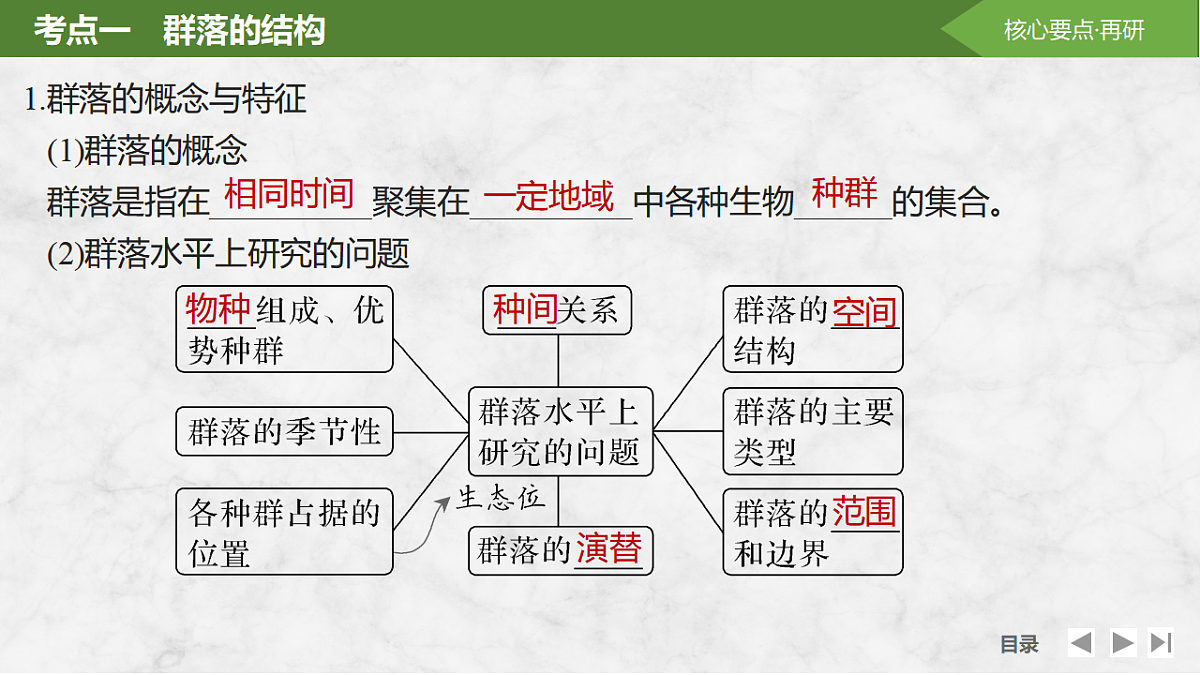 17675741第3页