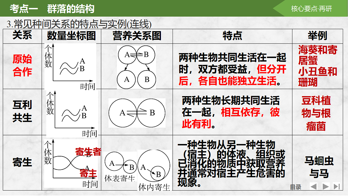 17675741第5页