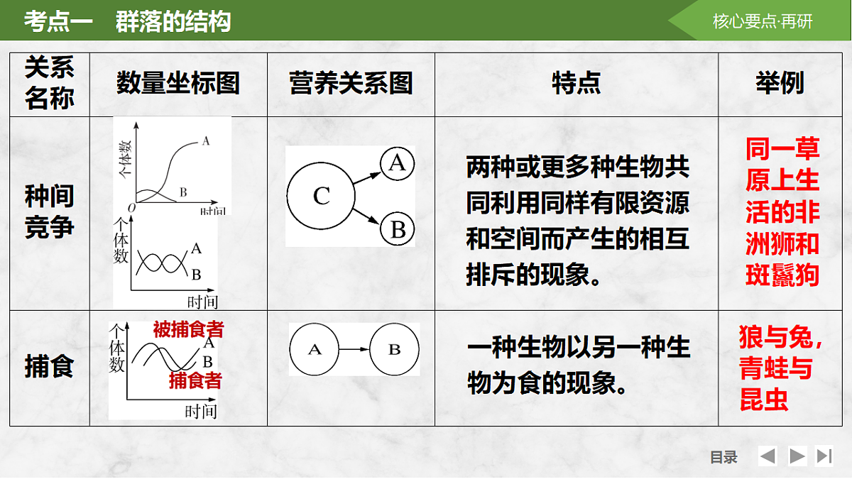 17675741第6页