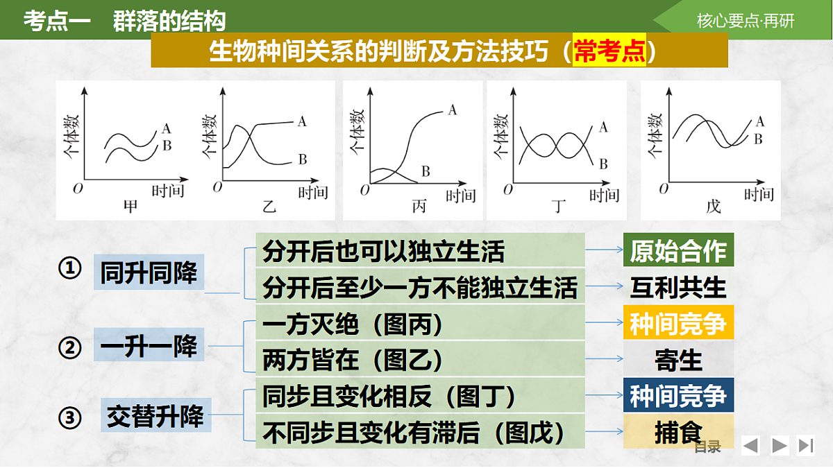 17675741第8页
