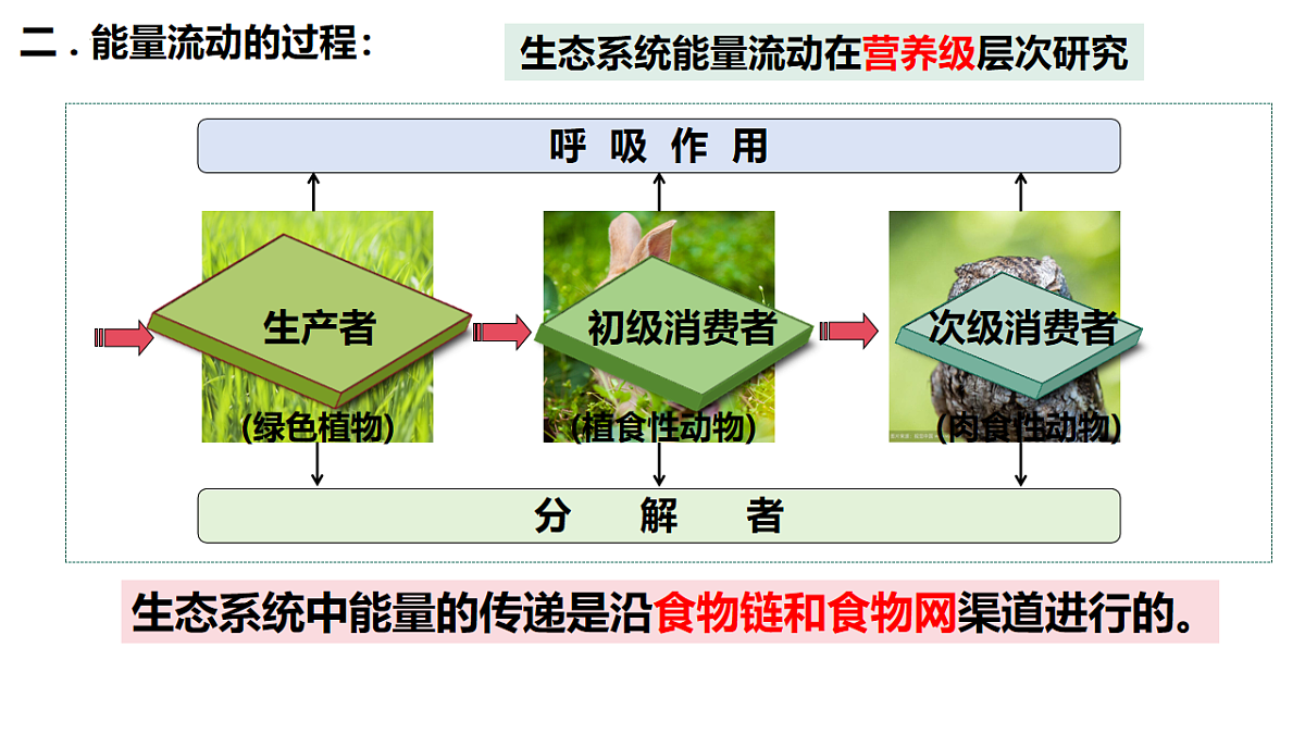 17675742第4页