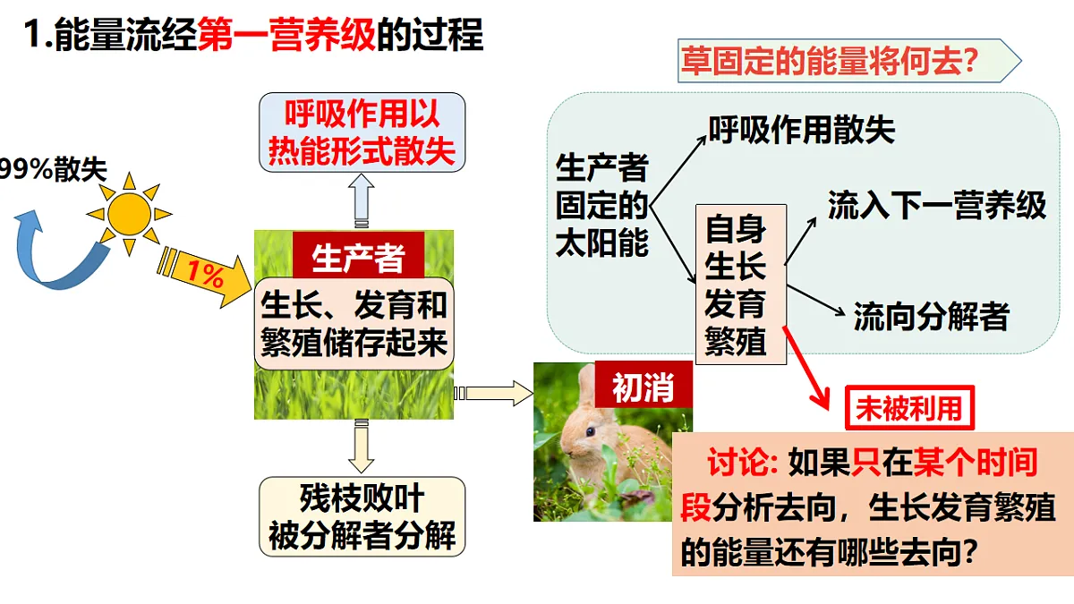17675742第5页