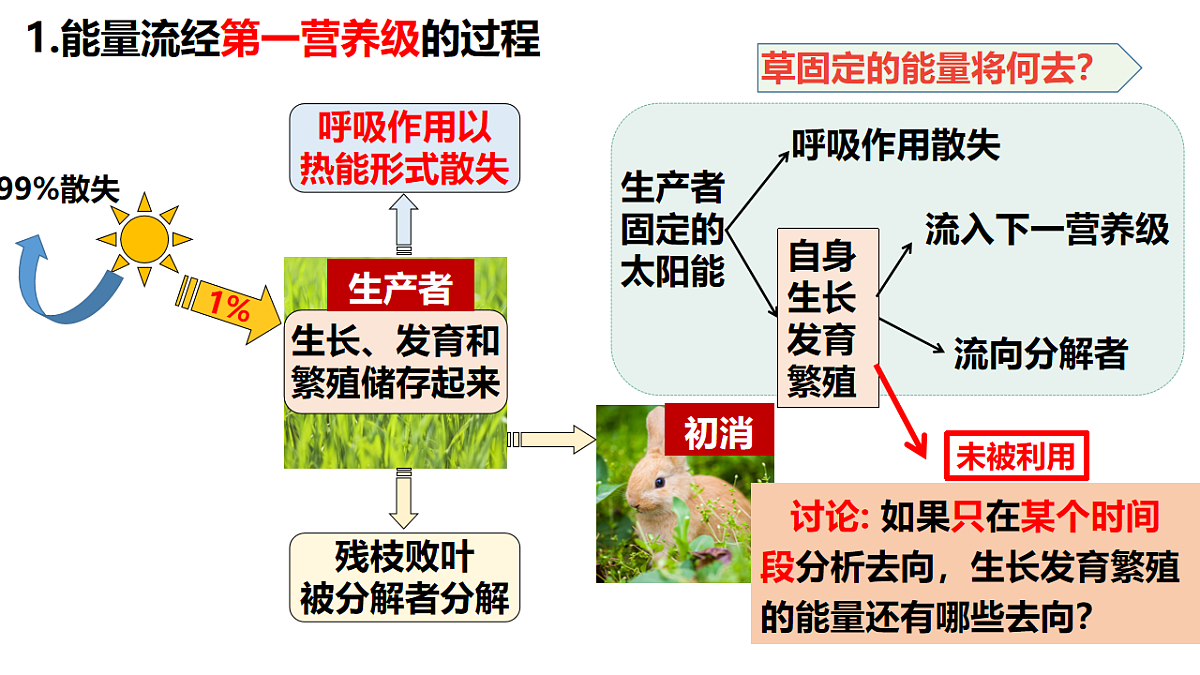 17675742第5页