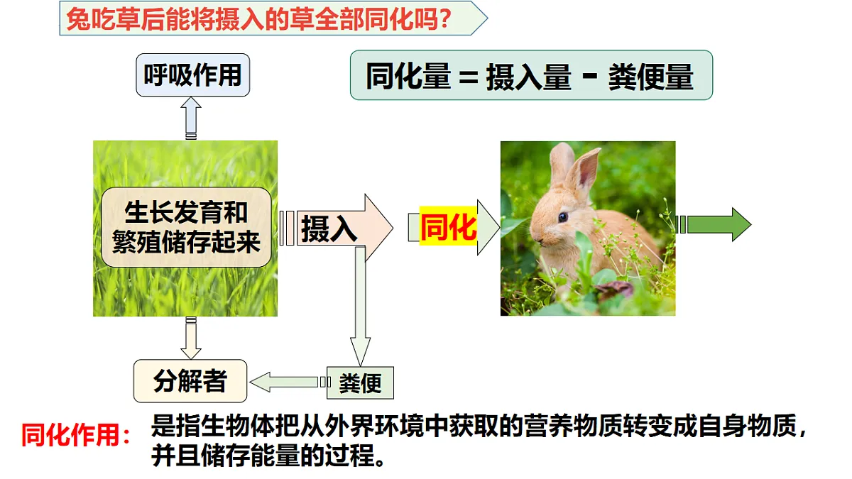 17675742第6页