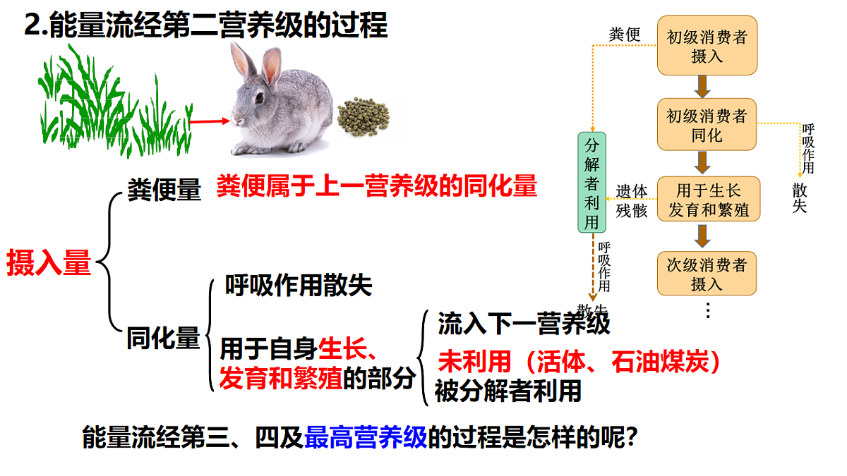 17675742第7页