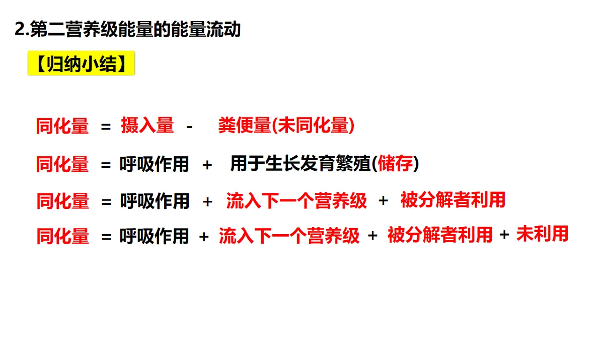 17675742第8页