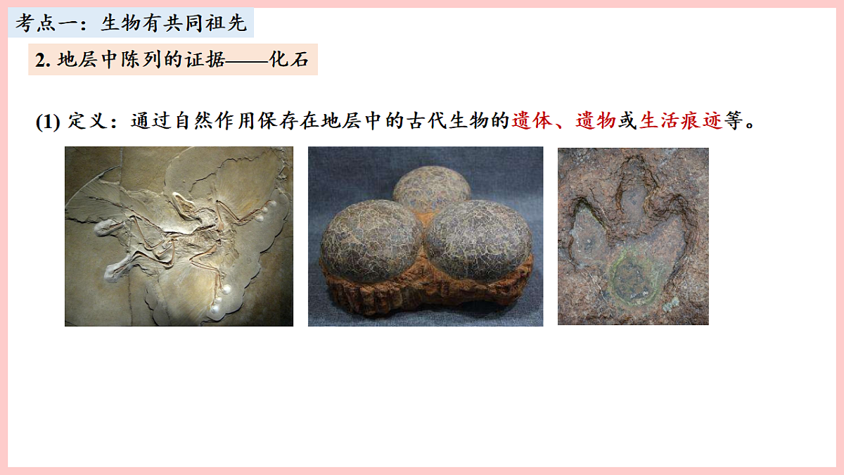 17675744第3页